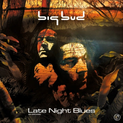 BIG BUD - Late Night Blues