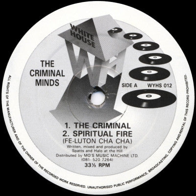 THE CRIMINAL MINDS - The Criminal