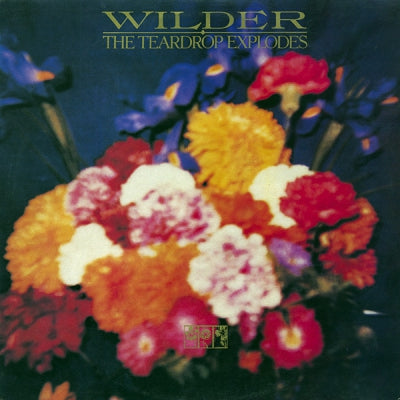 TEARDROP EXPLODES - Wilder