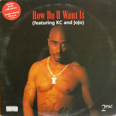 2PAC - How Do U Want It / California Love / Hit 'Em Up / 2 Of Americas Most Wanted.