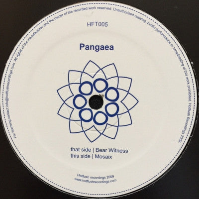 PANGAEA - Bear Witness / Mosaix