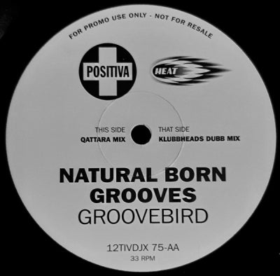 NATURAL BORN GROOVES - Groovebird