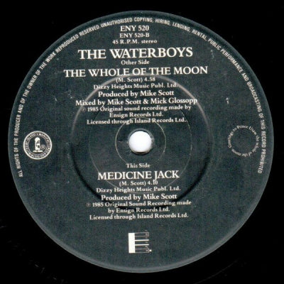 THE WATERBOYS - The Whole Of The Moon