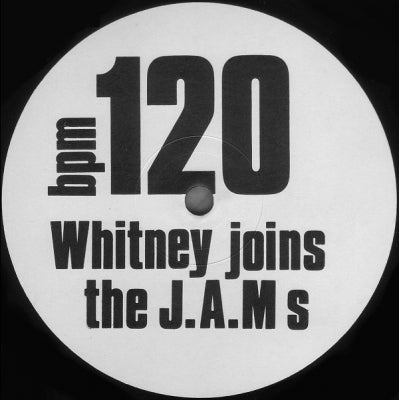 THE J.A.M.S. - Whitney Joins The Jams