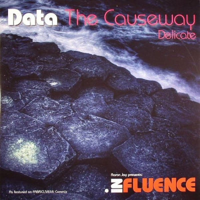 DATA - The Causeway / Delicate