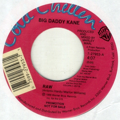 BIG DADDY KANE - Raw