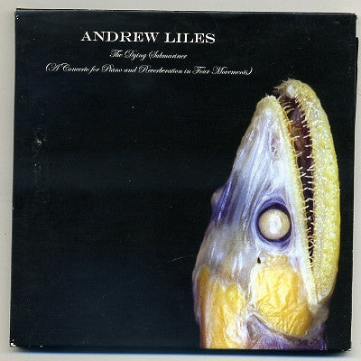 ANDREW LILES - The Dying Submariner (A Concerto For Piano And Reverberation In Four Movements)