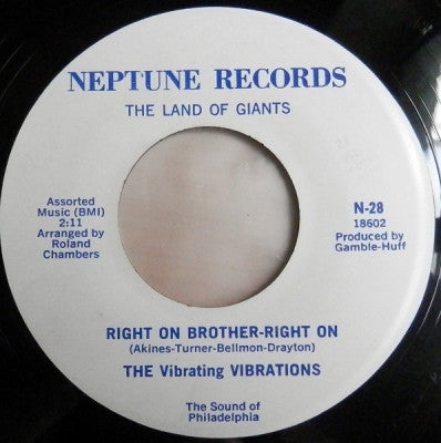 THE VIBRATING VIBRATIONS - Right On Brother-Right On / Surprise Party For Baby