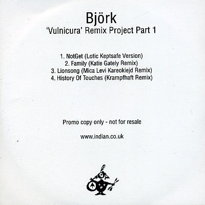 BJORK - 'Vulnicura' Remix Project Part 1