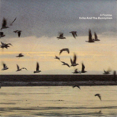 ECHO AND THE BUNNYMEN - A Promise