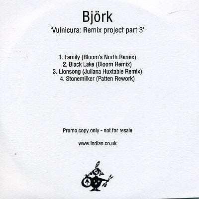 BJORK - 'Vulnicura' Remix Project Part 3