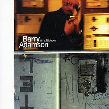 BARRY ADAMSON - What It Means