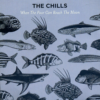 THE CHILLS - When The Poor Can Reach The Moon