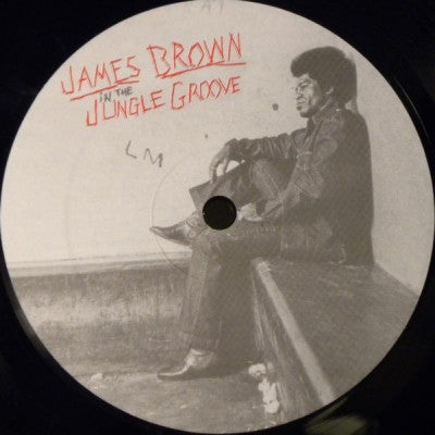 JAMES BROWN - In The Jungle Groove