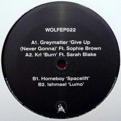 VARIOUS - Wolf EP 22