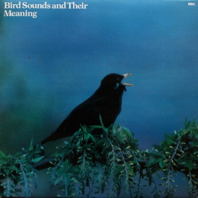NO ARTIST - Bird Sounds And Their Meaning