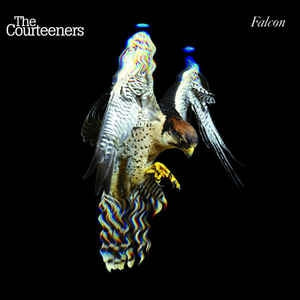 THE COURTEENERS - Falcon
