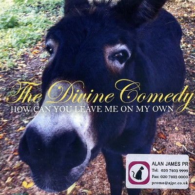 THE DIVINE COMEDY - How Can You Leave Me On My Own