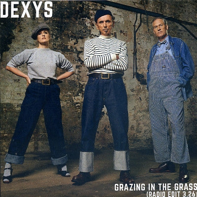 DEXYS - Grazing In The Grass