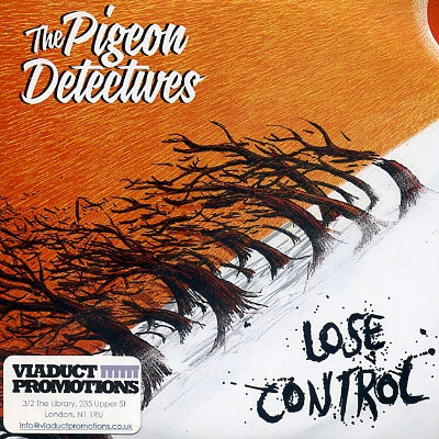 THE PIGEON DETECTIVES - Lose Control