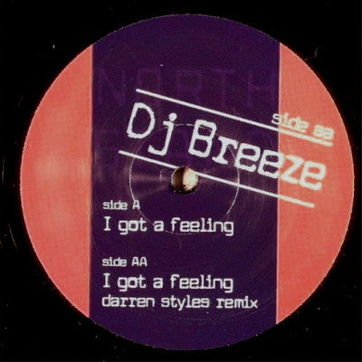 DJ BREEZE - I Got A Feeling (Remixes)