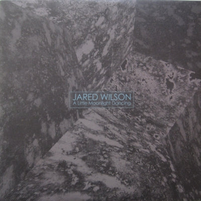 JARED WILSON - A Little Moonlight Dancing