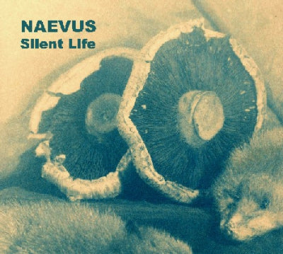 NAEVUS - Silent Life