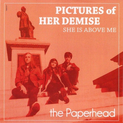 THE PAPERHEAD - Pictures Of Her Demis
