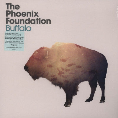 THE PHOENIX FOUNDATION - Buffalo