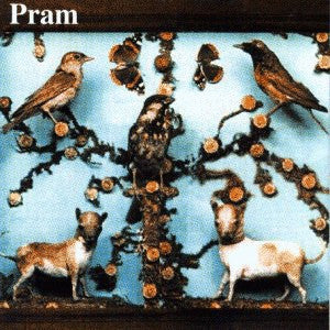 PRAM - The Museum Of Imaginary Animals