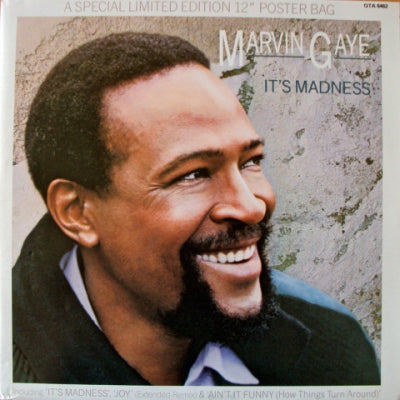 MARVIN GAYE - It's Madness