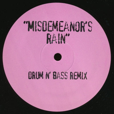 MISSY ELLIOTT - Misdemeanor's Rain