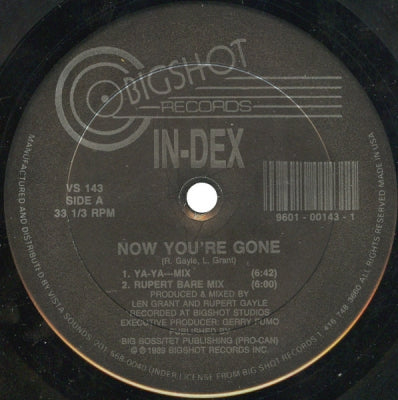 IN-DEX - Now That You're Gone