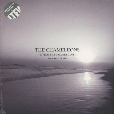 THE CHAMELEONS - Live At The Gallery Club Manchester 1982