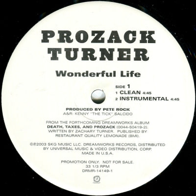 PROZACK TURNER (FOREIGN LEGION) - Wonderful Life