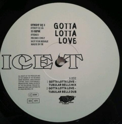 ICE-T - Gotta Lotta Love