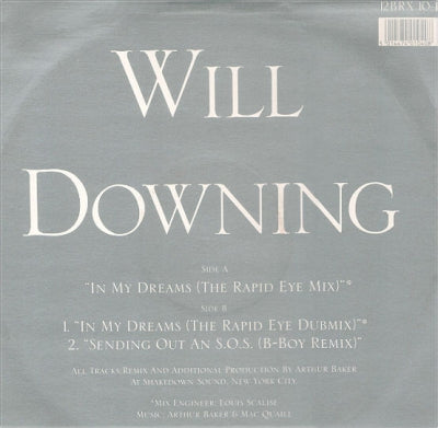 WILL DOWNING - In My Dreams
