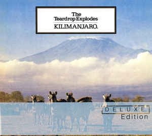 THE TEARDROP EXPLODES - Kilimanjaro