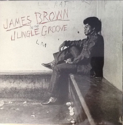 JAMES BROWN - In The Jungle Groove