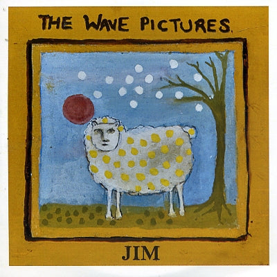 THE WAVE PICTURES - Jim