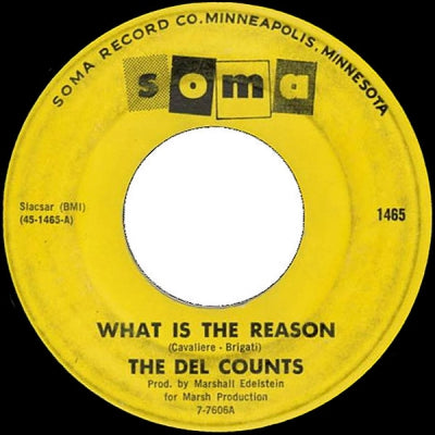 THE DEL COUNTS - What Is The Reason