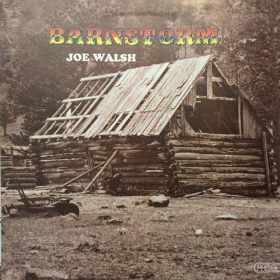 JOE WALSH - Barnstorm