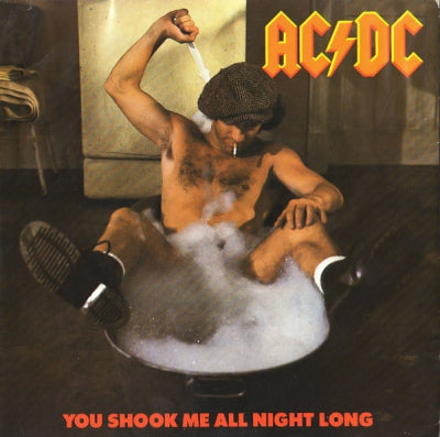 AC/DC - You Shook Me All Night Long