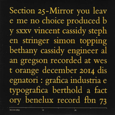 SECTION 25 - Mirror / You Leave Me No Choice