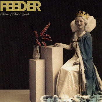 FEEDER - PICTURE OF PERFECT YOUTH