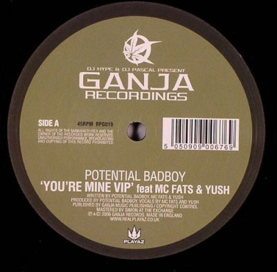 POTENTIAL BAD BOY - You're Mine VIP / Bitch