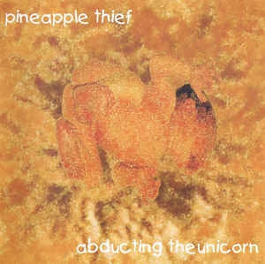 THE PINEAPPLE THIEF - Abducting The Unicorn