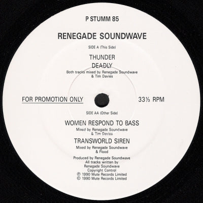 RENEGADE SOUNDWAVE - In Dub (4 Track Sampler)