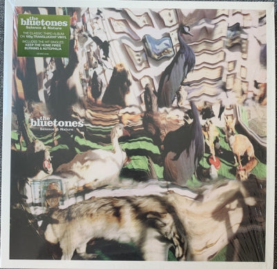 THE BLUETONES - Science And Nature