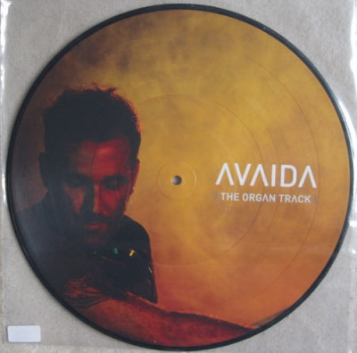 STEVE LAWLER - Avaida (The Organ Track)